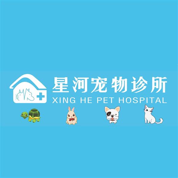 星河宠物诊所(西平分院):东莞市南城街道景湖时代城/西平附近