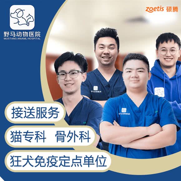 野马动物医院·骨科服务中心:东莞市南城街道景湖时代城/西平附近