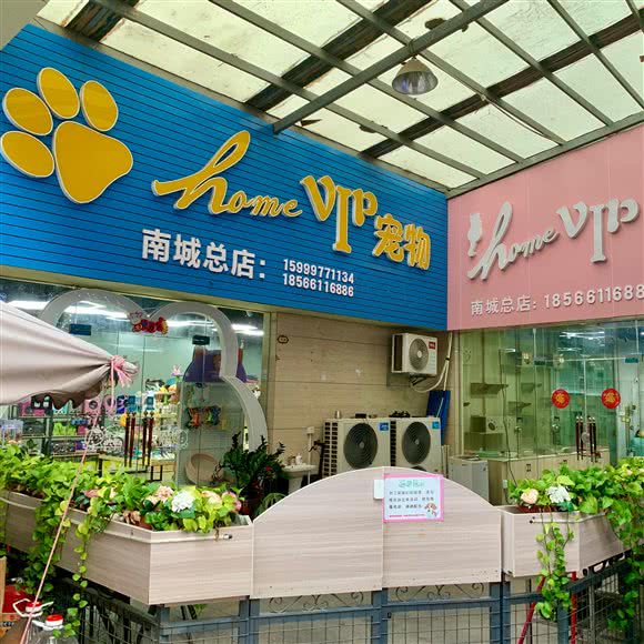 home VIP宠物(南城总店):东莞市南城街道鸿福路口附近