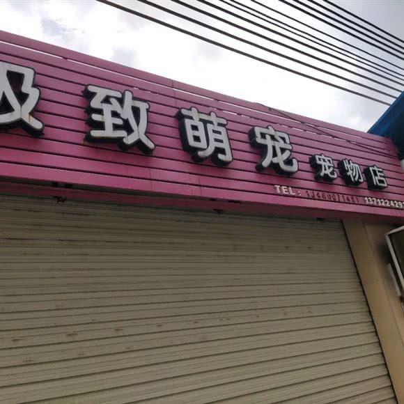 极致萌宠宠物店:东莞市南城街道银丰路附近