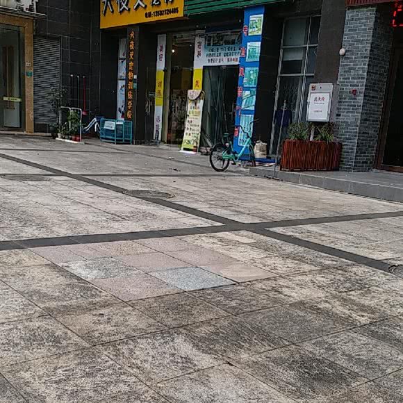 犬夜叉宠物:东莞市南城街道南城车站/白马附近