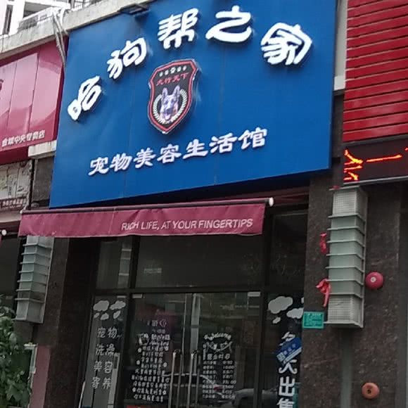 哈狗帮之家:东莞市南城街道南城车站/白马附近