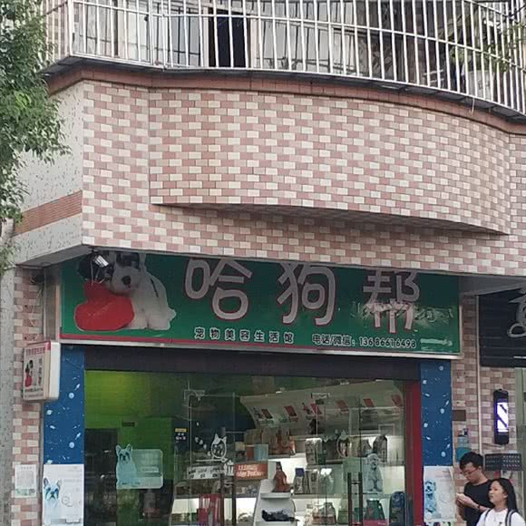 哈狗帮宠物美容生活馆:东莞市东城街道星河城/十三碗附近