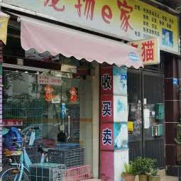 宠物e家(莞城新河路店):东莞市东城街道花园新村附近