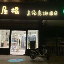 狗屎棍高级宠物酒店:东莞市东城街道花园新村附近