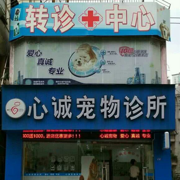 心诚宠物诊所(莞城店):东莞市东城街道运河路附近