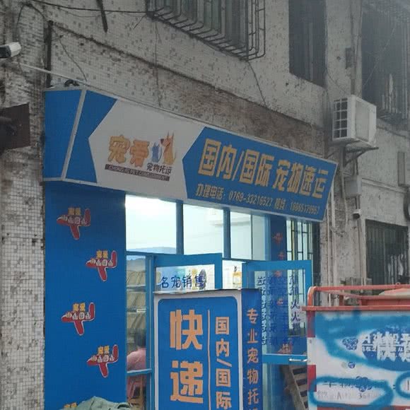 宠爱宠物托运中心:东莞市东城街道火炼树/怡丰都市附近