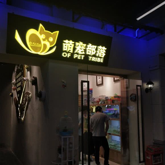 萌宠部落:东莞市东城街道民盈国贸中心附近