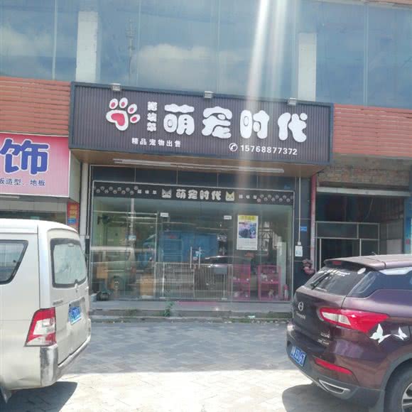 诺埃尔萌宠时代:东莞市樟木头镇天一城附近