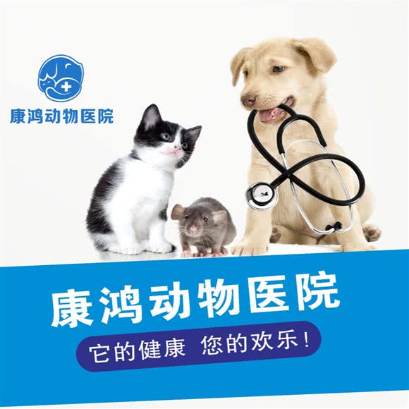 康鸿动物医院(樟木头长虹分院):东莞市樟木头镇天一城附近