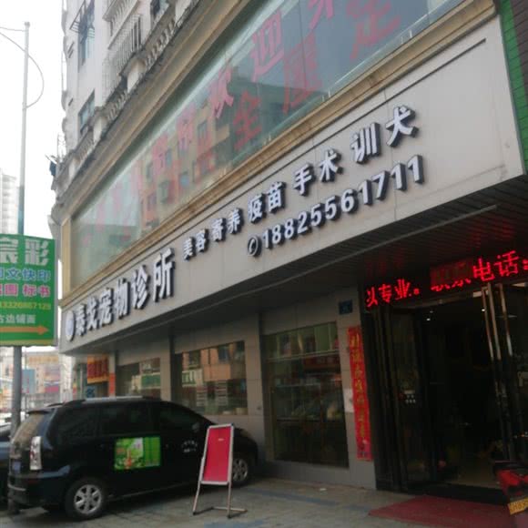 泰戈宠物诊所:东莞市樟木头镇天河city/樟木头中心附近