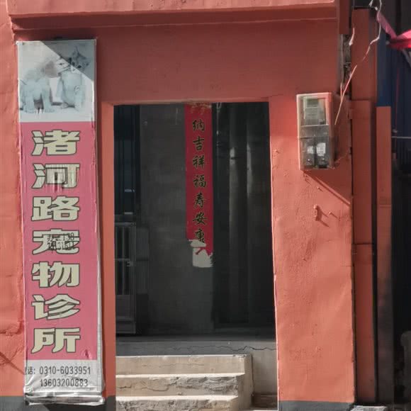 渚河路宠物诊所:邯郸市邯山区春天百货商场附近