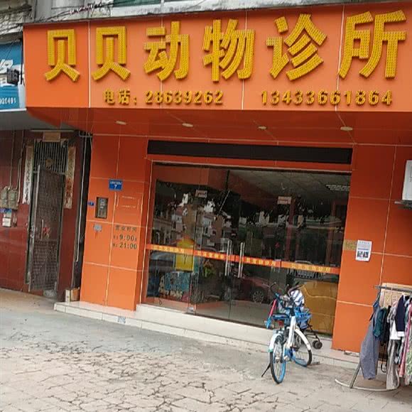 贝贝动物诊所:东莞市万江街道共联商业街/汽车总站附近
