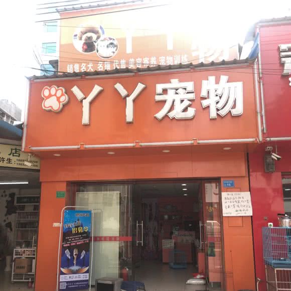 丫丫宠物:东莞市常平镇中元街附近