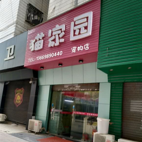 猫家园:东莞市常平镇天鹅湖附近