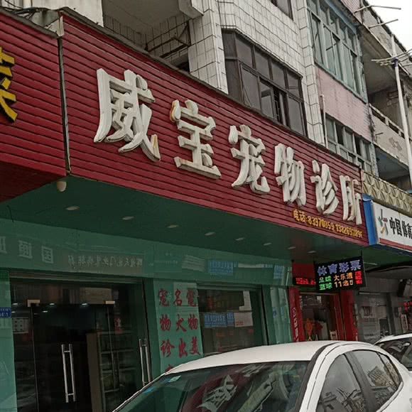 威宝宠物诊所:东莞市常平镇天鹅湖附近