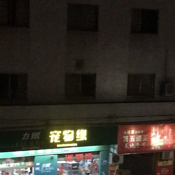 力狼宠物缘:东莞市道滘镇道滘镇中心城区附近