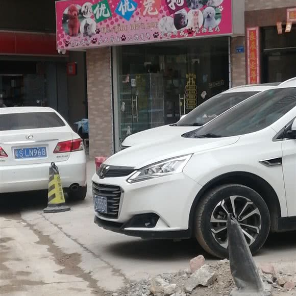 优优宠物:东莞市虎门镇地标广场/不夜天附近