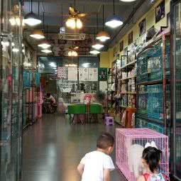艾嘉宠物店(太沙店):东莞市虎门镇地标广场/不夜天附近