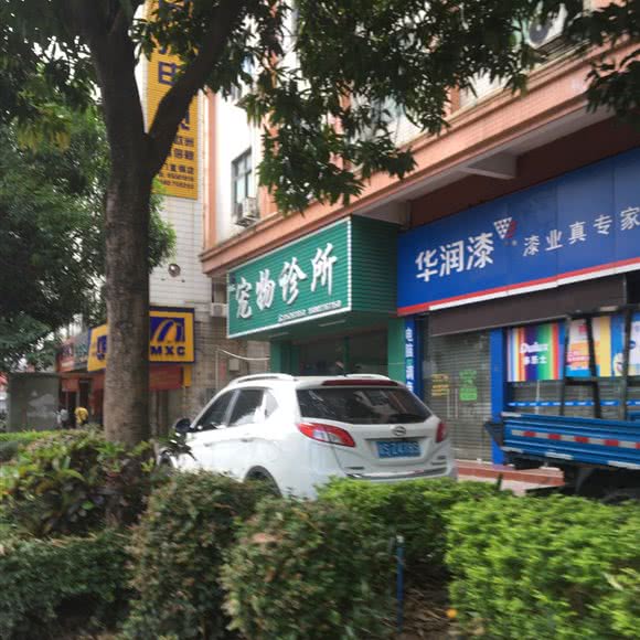 翔龙宠物诊所(太沙路):东莞市虎门镇地标广场/不夜天附近