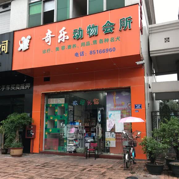 奇乐动物会所:东莞市虎门镇博美附近