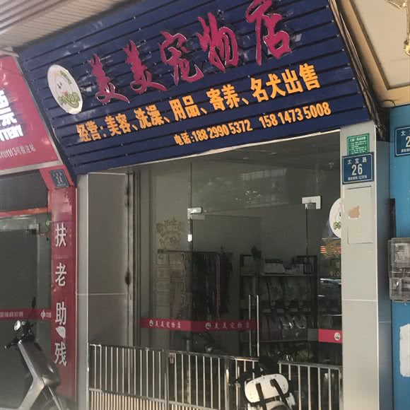 美美宠物店:东莞市虎门镇博美附近