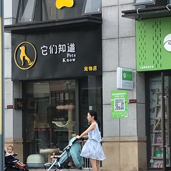 它们知道宠物店:东莞市虎门镇大宁附近