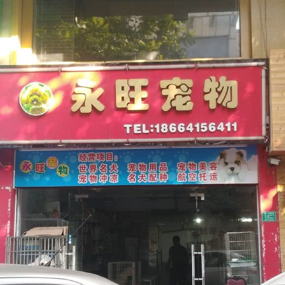 永旺宠物狗:东莞市虎门镇人民中路附近