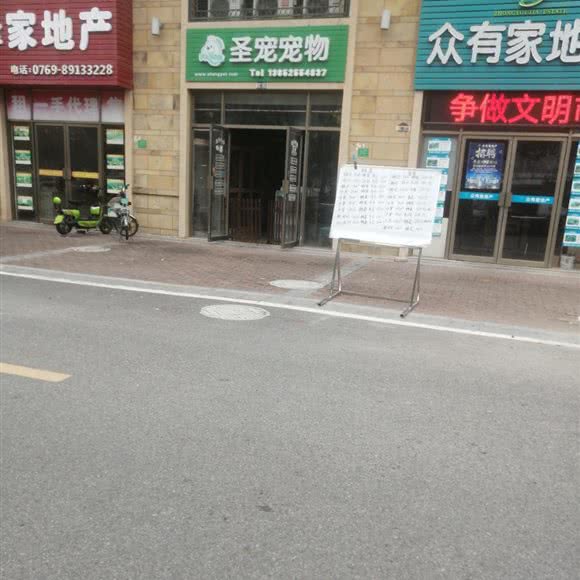 圣宠宠物(东莞凤深大道店):东莞市凤岗镇雁田附近
