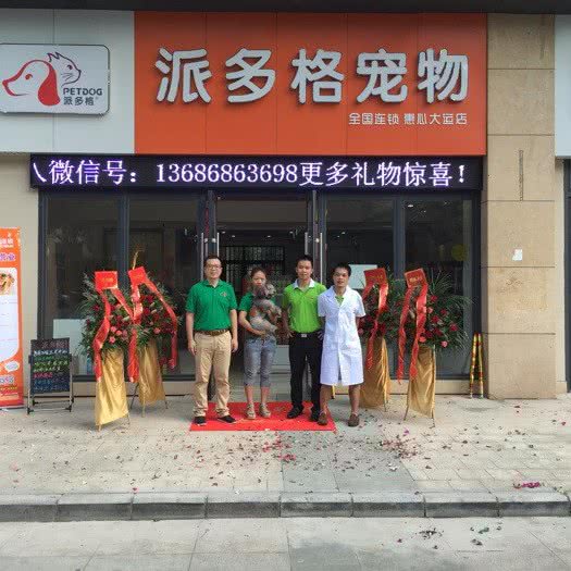 派多格宠物(大运店):东莞市凤岗镇官井头/大运城邦附近