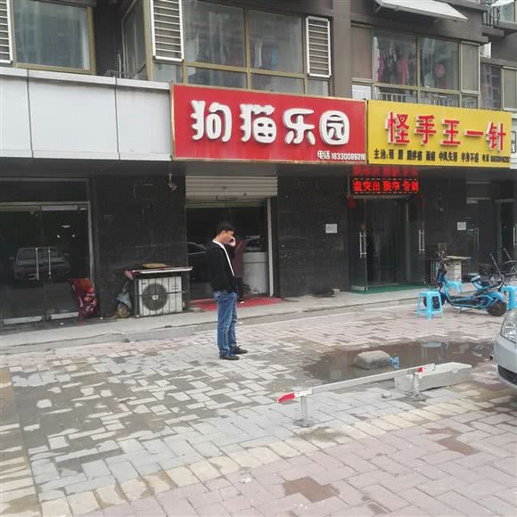 狗猫乐园:邯郸市邯山区赵都新城附近