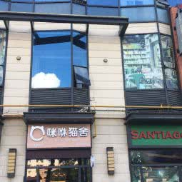 咪咻猫舍(东莞长安店):东莞市长安镇长安镇区附近