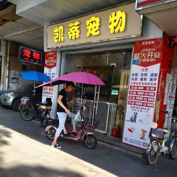 凯蒂宠物:东莞市长安镇长安镇区附近