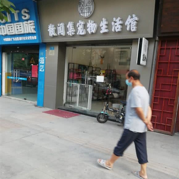 散闻集宠物生活馆:东莞市长安镇长安镇区附近