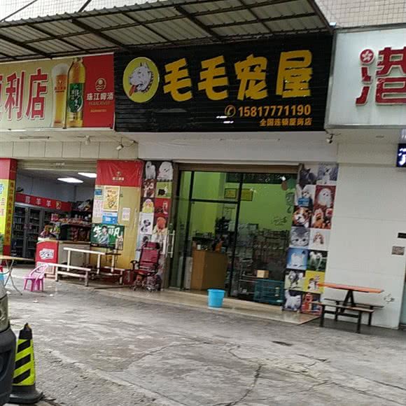 毛毛宠屋(厦岗店):东莞市长安镇长安镇区附近