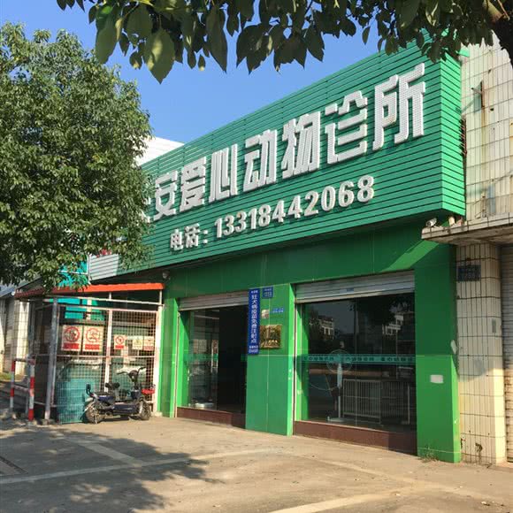 长安爱心宠物诊所:东莞市长安镇长安镇区附近