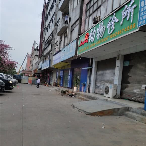 飞翔动物诊所(长安分店):东莞市长安镇长安镇区附近