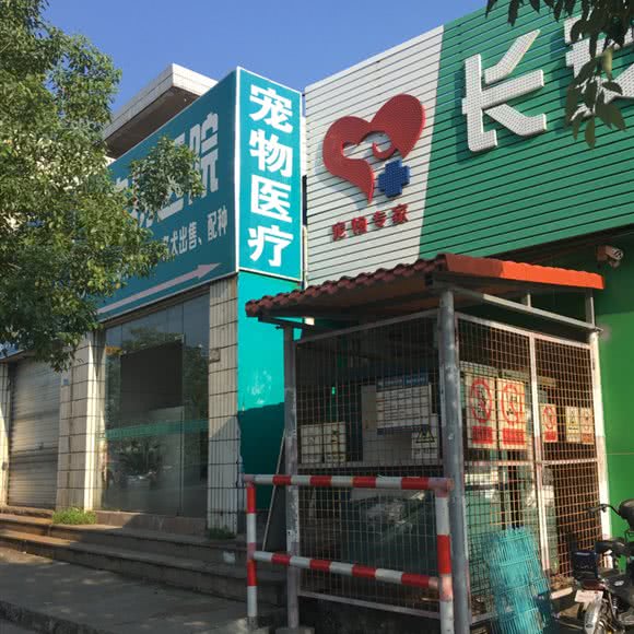 长安爱心动物诊所宠物医疗:东莞市长安镇长安镇区附近