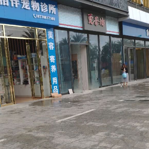 相伴动物诊所:东莞市长安镇长安镇区附近