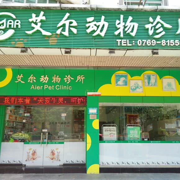 艾尔动物诊所(长安公园店):东莞市长安镇长安广场附近
