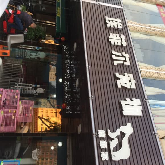 埃菲尔宠物:东莞市长安镇长安万科广场附近