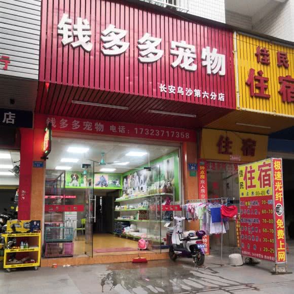 钱多多宠物(长安乌沙店):东莞市长安镇乌沙大润发附近