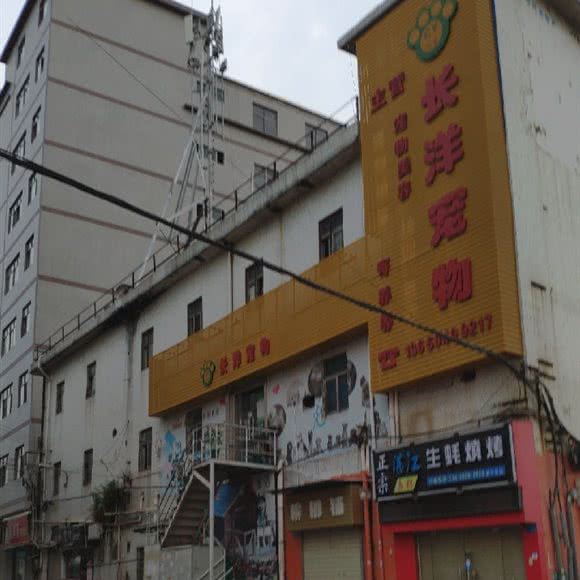 长洋宠物:东莞市长安镇振安路附近