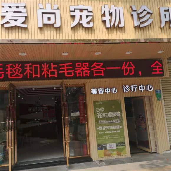 爱尚宠物诊所:东莞市厚街镇厚街大润发附近