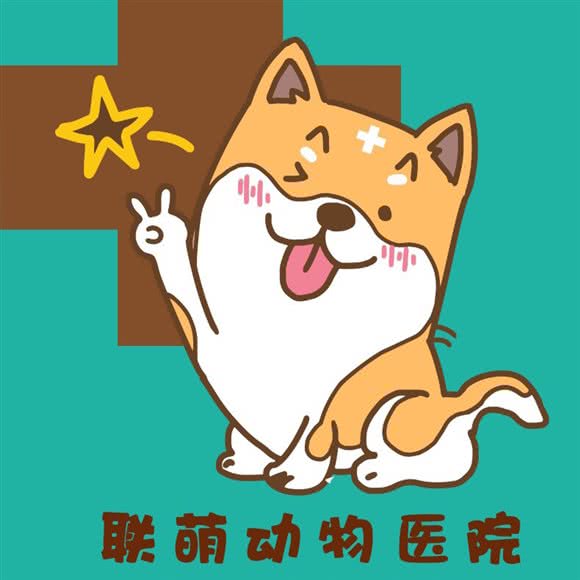 联萌动物医院(厚街万达广场店):东莞市厚街镇厚街万达广场附近