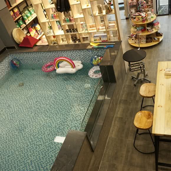 Ipet爱宠生活馆:东莞市厚街镇汀山广场附近