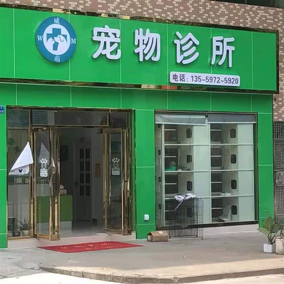 韦萌宠物诊所:东莞市厚街镇汀山广场附近