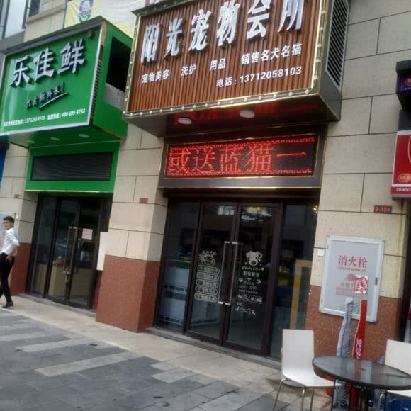 阳光宠物会所:东莞市大朗镇长盛广场附近