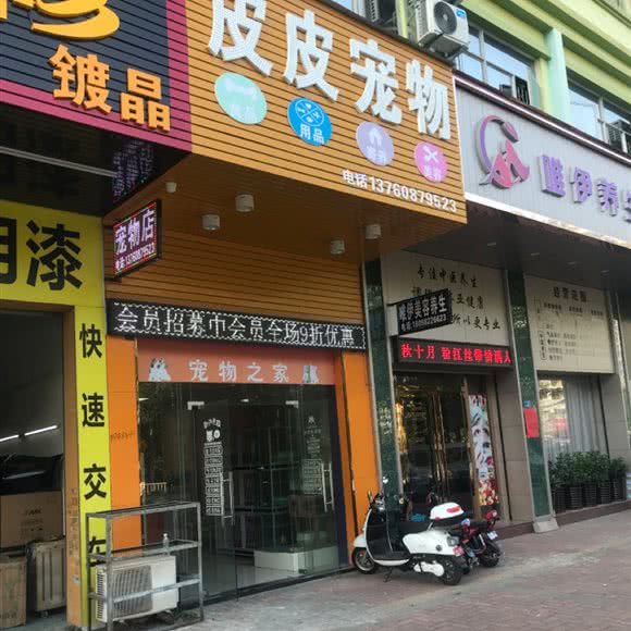 皮皮宠物:东莞市大朗镇远大城市广场附近