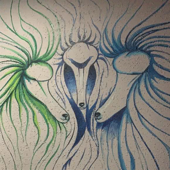 毛毛宠物:邯郸市丛台区高开区附近